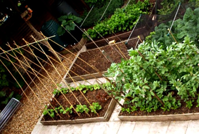 15 реальных идей, которые помогут обустроить узкий дворик на даче