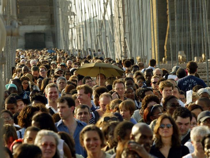 15 самых опасных животных в мире