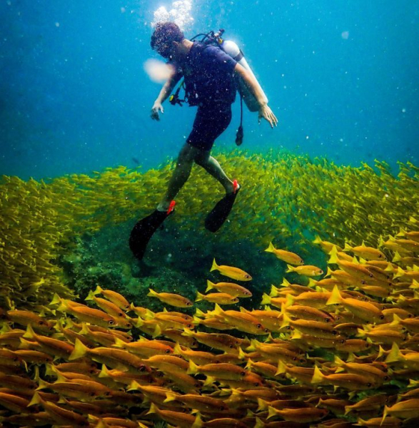 20+ фото из необыкновенного Таиланда, которые удивляют, умиляют и обескураживают