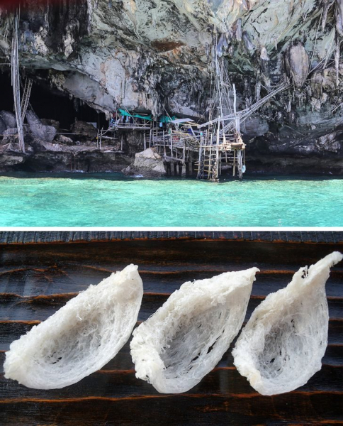 20+ фото из необыкновенного Таиланда, которые удивляют, умиляют и обескураживают