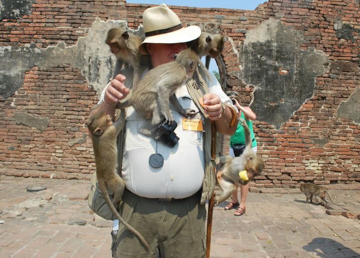 20+ фото из необыкновенного Таиланда, которые удивляют, умиляют и обескураживают