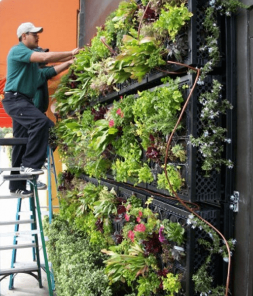 20 оригинальных идей использования пластмассовых ящиков дома и на даче