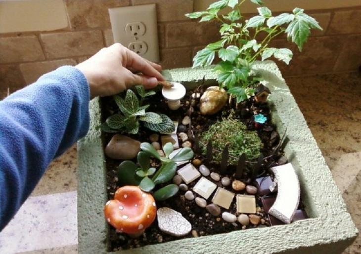 20 самых оригинальных миниатюрных садов для фей