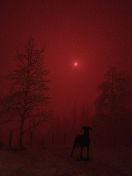 25 по-настоящему крутых снимков, которые дадут фору фотошопу