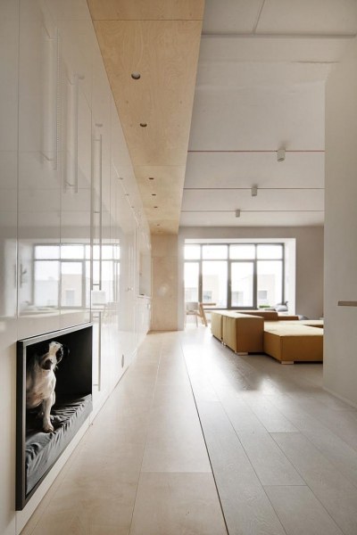 25 потрясающих спальных мест для собак своими руками