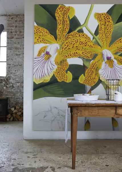 37 стильных идей, как обновить стены дома, не вкладывая деньги в дизайн