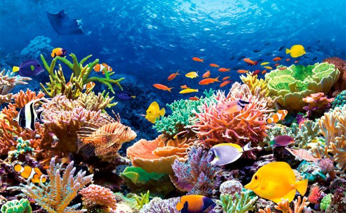 6 мировых достопримечательностей, с которыми человечество, увы, скоро простится