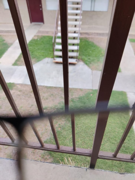 8 потрясающих фото, которые объясняют наш мир лучше любого учебника