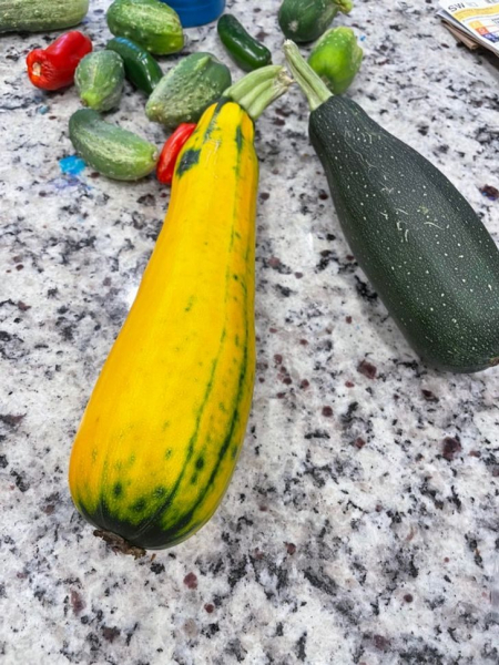 8 потрясающих фото, которые объясняют наш мир лучше любого учебника