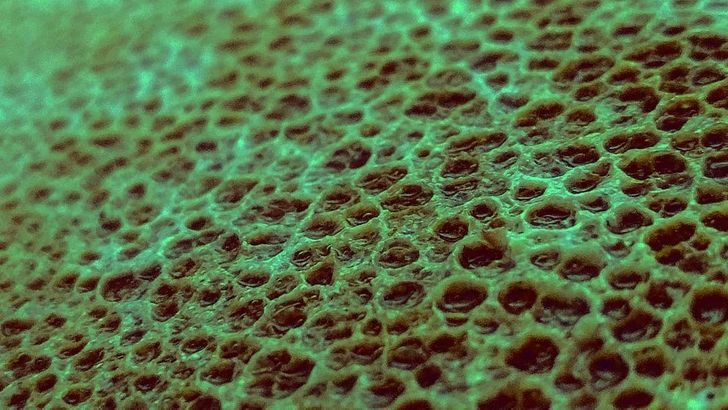 8 потрясающих фото, которые объясняют наш мир лучше любого учебника