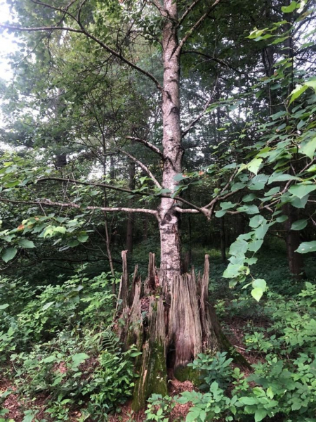 8 потрясающих фото, которые объясняют наш мир лучше любого учебника