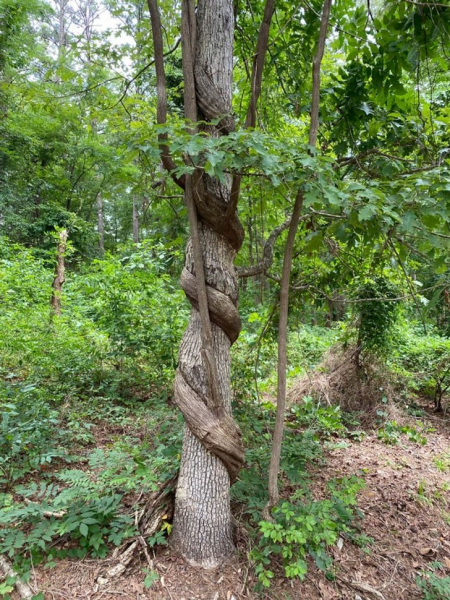 8 потрясающих фото, которые объясняют наш мир лучше любого учебника