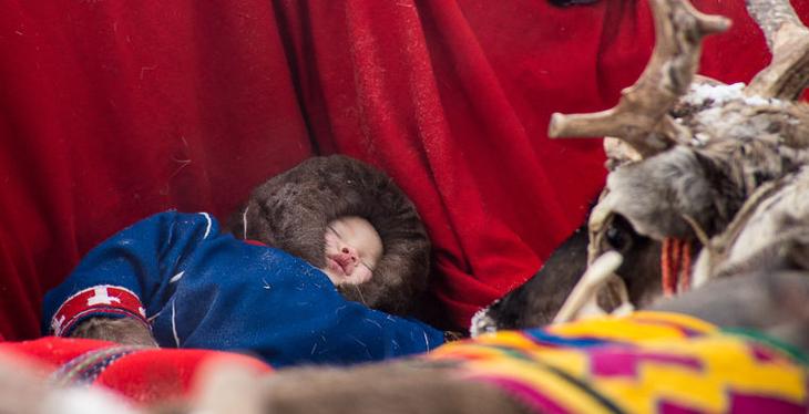 Что ненцу хорошо, то русскому не понять