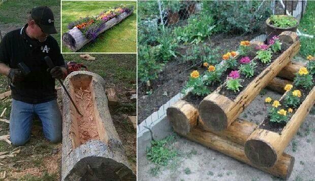 Дерево на участке: самодостаточные идеи, достойные реализации