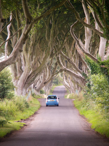 Достопримечательности Ирландии: что посмотреть на легендарном Изумрудном острове