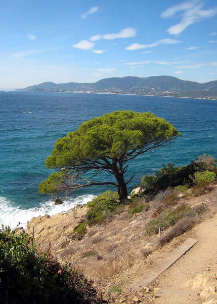 Достопримечательности Сен-Тропе: 10 самых ярких мест