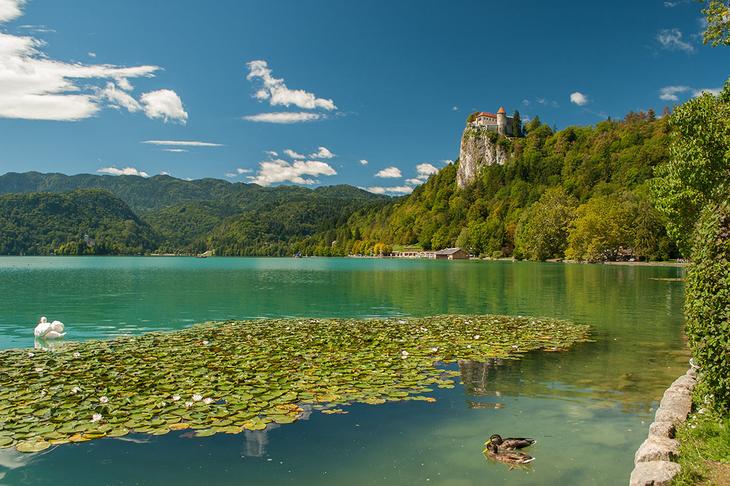 Достопримечательности Словении: 10 мест, которые стоит посетить