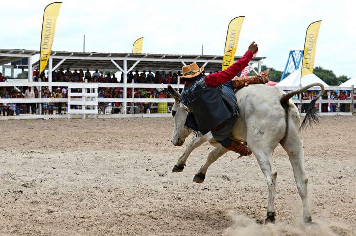 Гайана-самые красивые места и главные достопримечательности