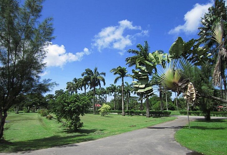 Гайана-самые красивые места и главные достопримечательности