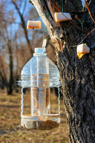 Идеи применения пластиковой бутылки в доме, на балконе и на даче