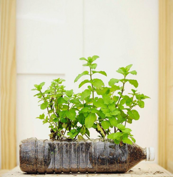 Идеи применения пластиковой бутылки в доме, на балконе и на даче