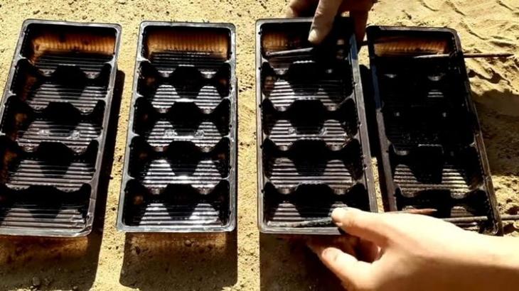 Интересное использование пластиковой упаковки от сладостей