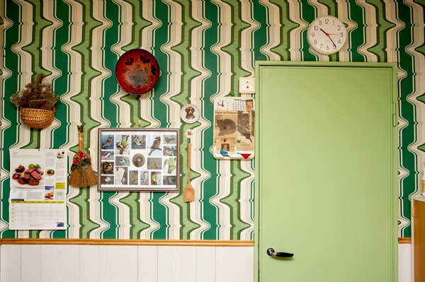 Я бы не купил: 20 экзотичных обоев для «гениев квартирного дизайна»