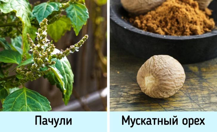 Как выбрать духи, которые будут пахнуть так, будто стоят бешеных денег