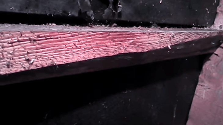 Копеечное средство для избавления от грызунов