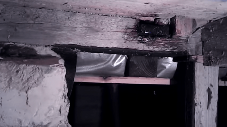 Копеечное средство для избавления от грызунов