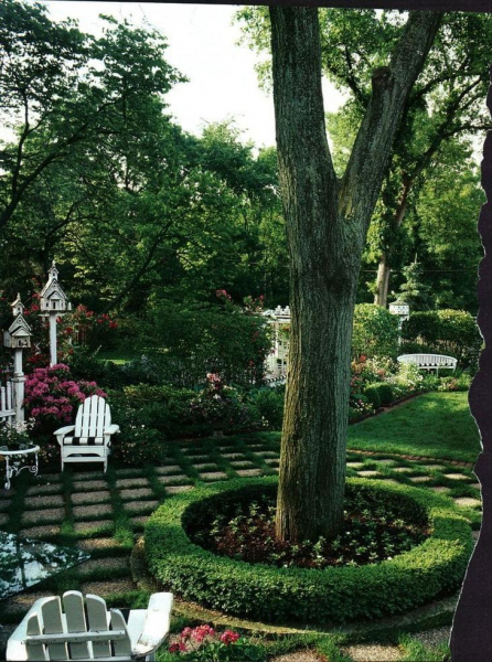 Красивые идеи клумб вокруг дерева