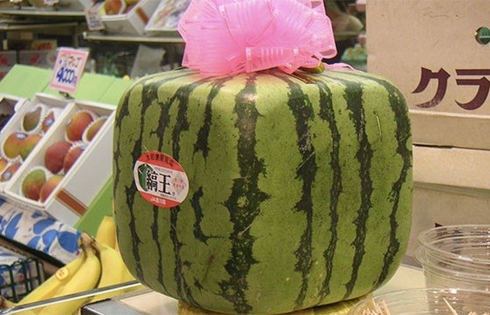 Неизвестные факты о самых разных фруктах