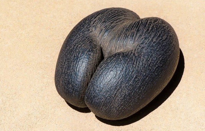 Неизвестные факты о самых разных фруктах