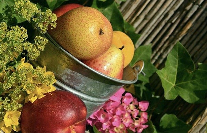 Неизвестные факты о самых разных фруктах