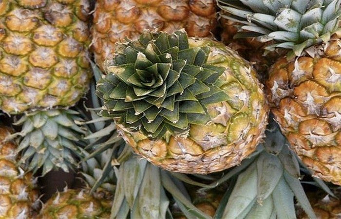 Неизвестные факты о самых разных фруктах