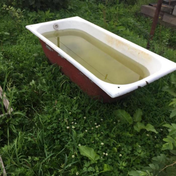 Несколько веских причин, почему старую ванну не нужно выбрасывать, а лучше отвезти на дачу