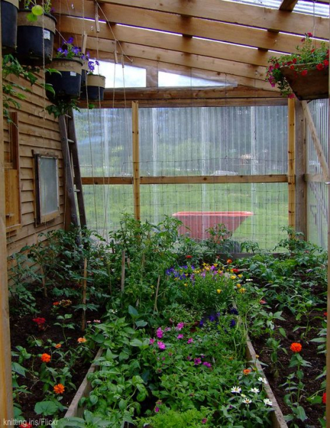 Они превратили обычную теплицу в настоящее произведение искусства. 25 теплиц мечты