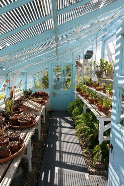 Они превратили обычную теплицу в настоящее произведение искусства. 25 теплиц мечты