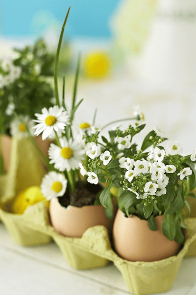 Оригинальные поделки из природного материала изготовленные своими руками