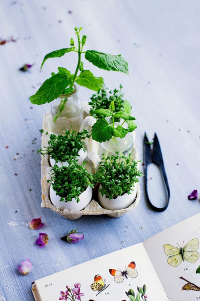 Оригинальные поделки из природного материала изготовленные своими руками