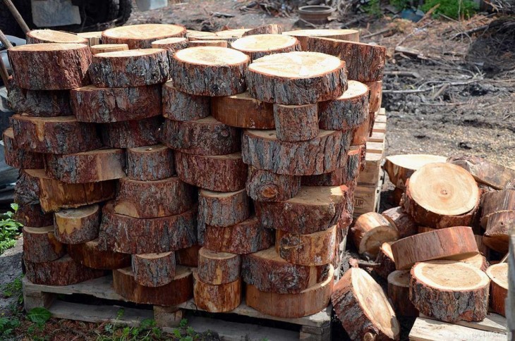 Поделки из дерева для сада: фото оригинальных идей оформления своими руками