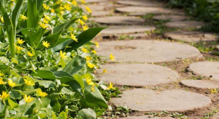 Поделки из дерева для сада: фото оригинальных идей оформления своими руками