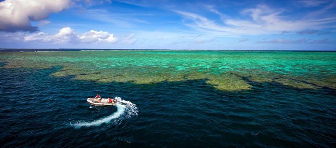 Подводная одиссея: Большой Барьерный риф