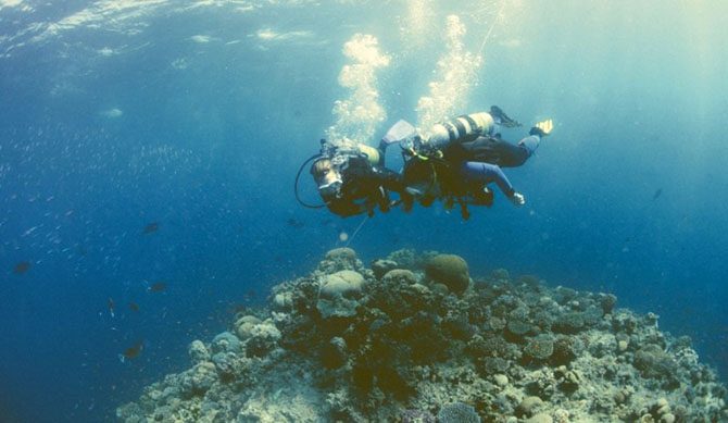 Подводная одиссея: Большой Барьерный риф