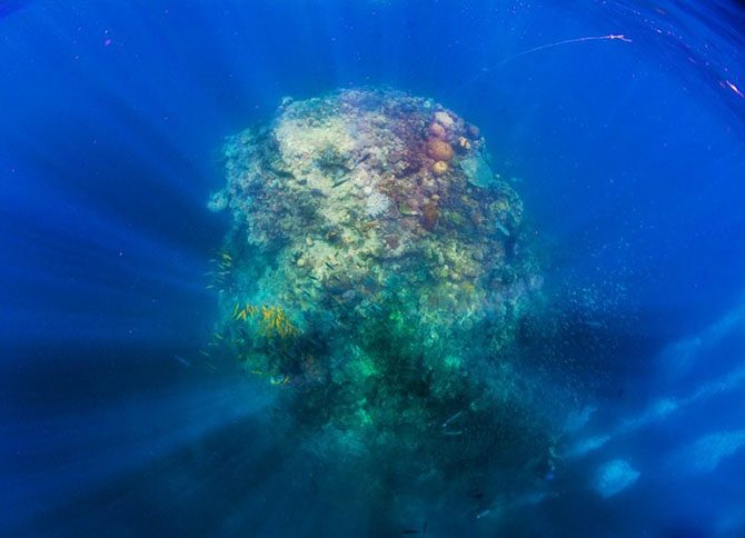 Подводная одиссея: Большой Барьерный риф