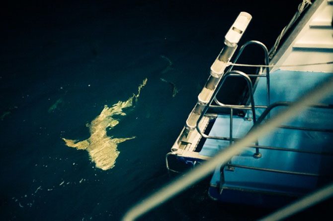 Подводная одиссея: Большой Барьерный риф