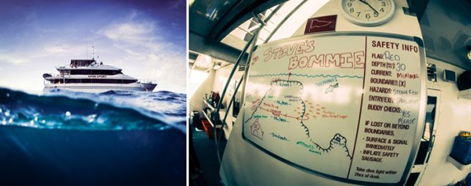 Подводная одиссея: Большой Барьерный риф