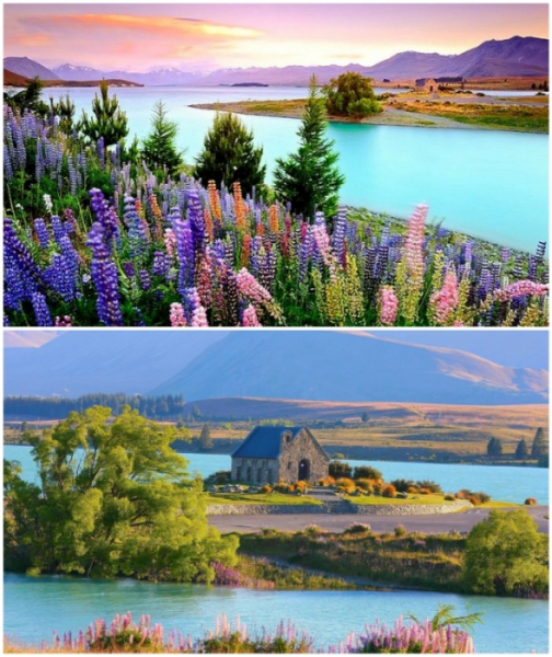 Рай для интровертов: галерея убежищ, где можно отдохнуть душой и телом