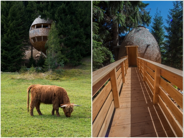 Рай для интровертов: галерея убежищ, где можно отдохнуть душой и телом