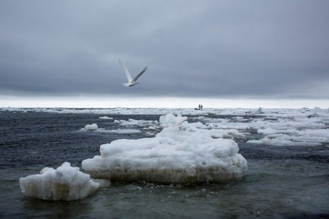 Самые большие моря планеты